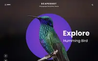 ScapeShot theme preview