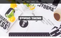 Studio theme preview