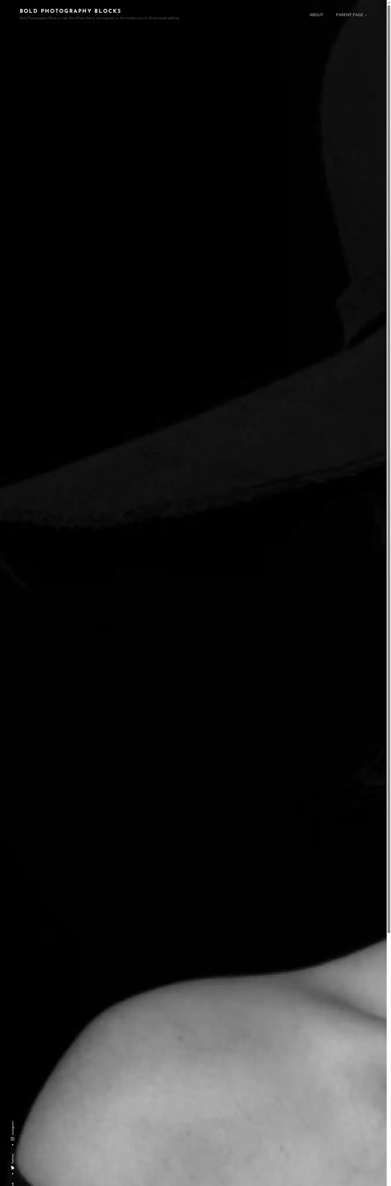 Bold Photography Blocks home page on desktop